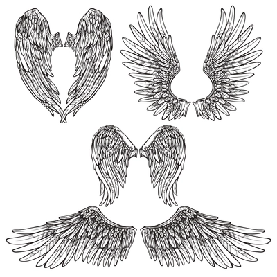 Angel or bird wings abstract sketch set isolated vector illustration