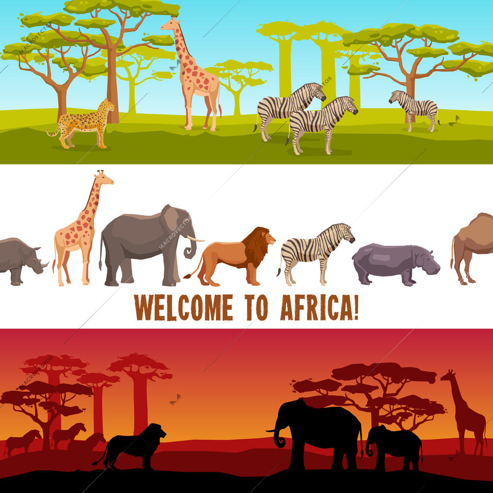 Horizontal colorful African animals with trees banners set isolated vector illustration