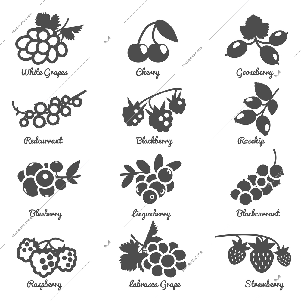 Berries cherry grape currant rosehip and other silhouette flat symbol icon set isolated vector illustration