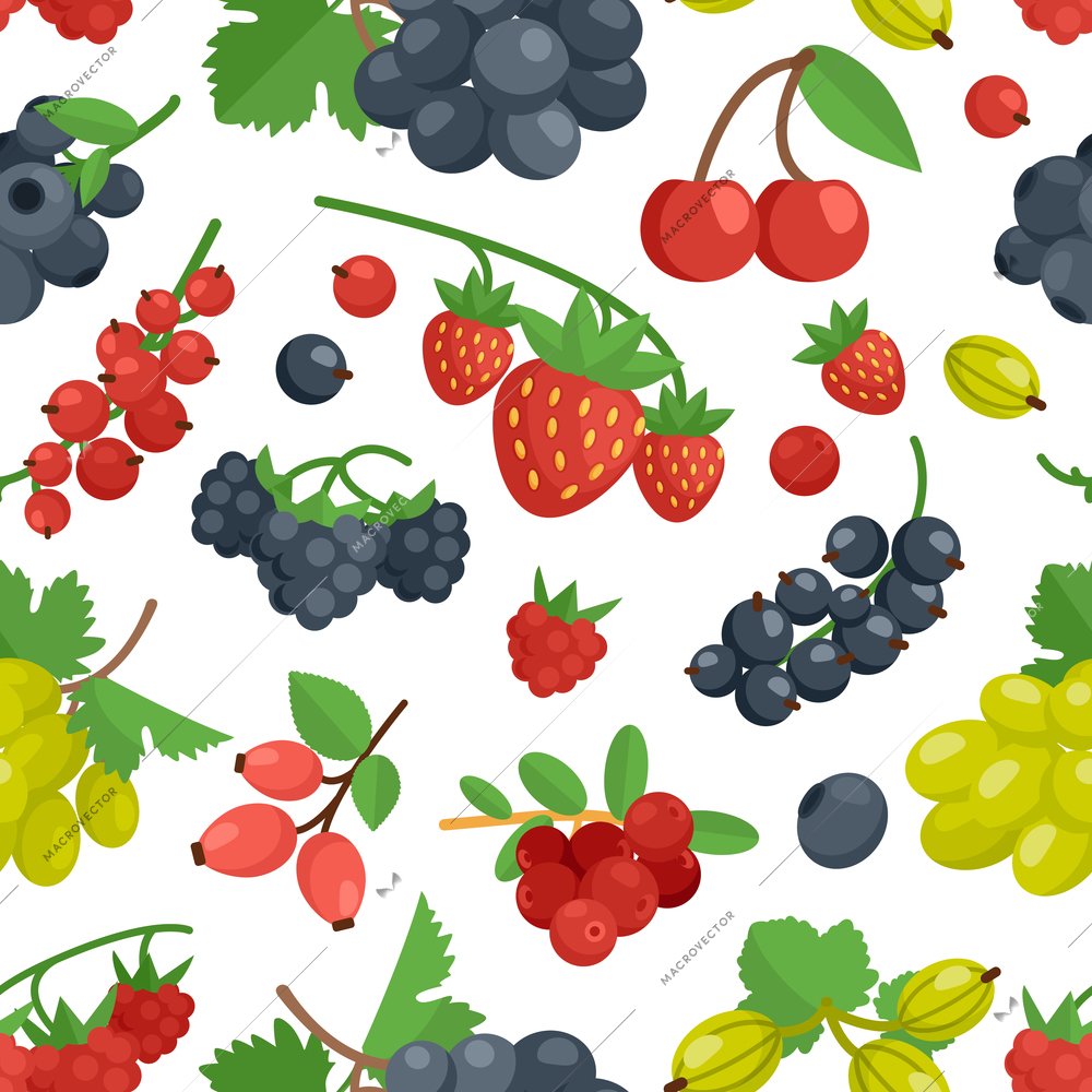 Berries cherry grape currant rosehip and other color seamless ornament vector illustration