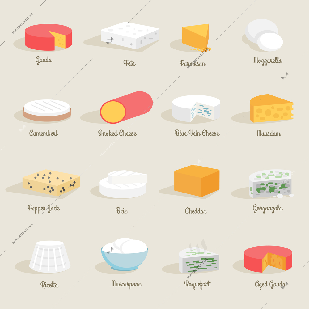 Delicious fresh cheese variety icon flat set isolated vector illustration