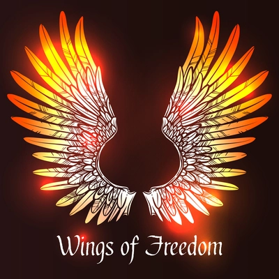 Sketch angel or bird wings on dark background with wings of freedom text vector illustration