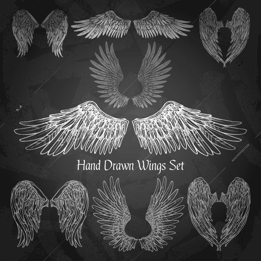 Hand drawn wings set on chalk board isolated vector illustration