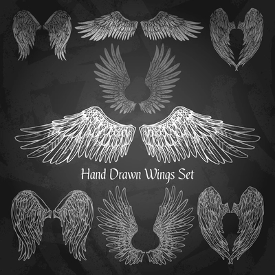 Hand drawn wings set on chalk board isolated vector illustration