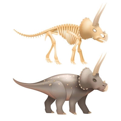 Life triceratops dinosaur with skeleton in prehistoric times art isolated vector illustration