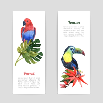 Tropical  rainforest vacation vertical banners set with exotic parrot and toucan bird watercolor  abstract  isolated vector illustration