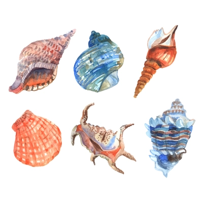 Watercolor shell starfish cockleshells decorative icons set isolated vector illustration