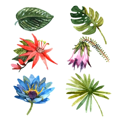 Exotic tropical rainforest botanic garden plants flowers and leaves pictograms collection watercolor sketch abstract isolated vector illustration