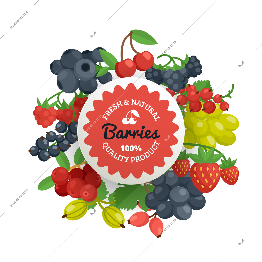 Fresh natural and quality tagline on the garden berries in bunches with leaves flat color emblem vector illustration