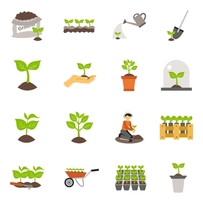 Flowers and plants seedling process flat icons set isolated vector illustration