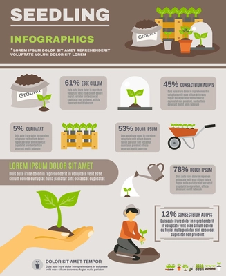 Seedling infographics set with gardening elements and equipment vector illustration