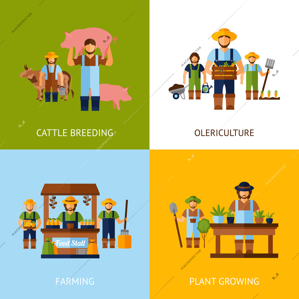 Farmers design concept set with cattle breeding and plant growing flat icons isolated vector illustration