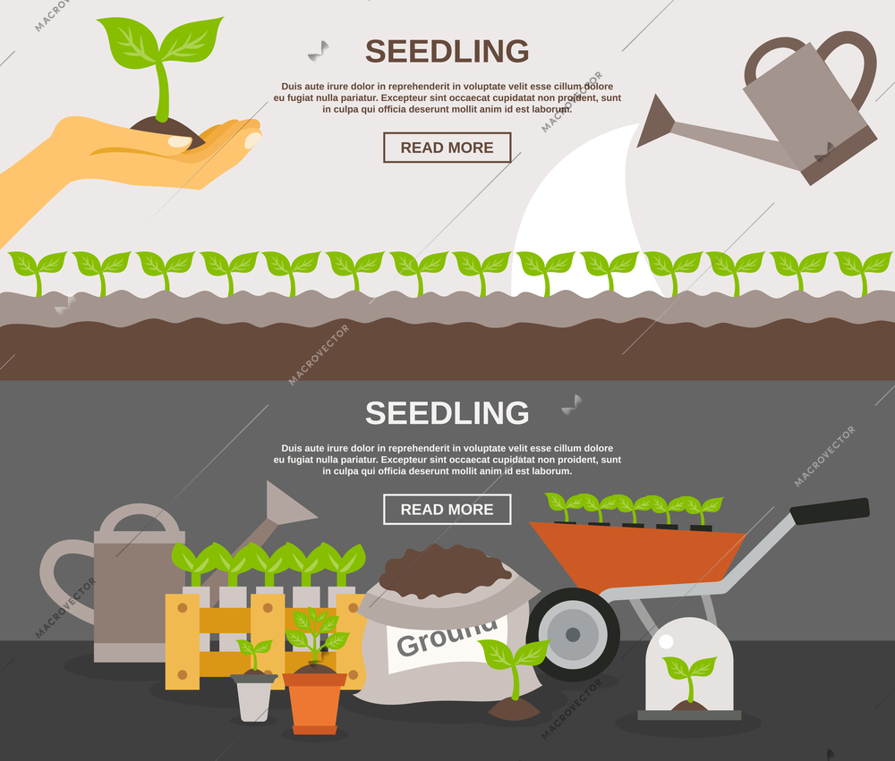 Seedling horizontal banner set with plants and gardening equipment flat elements isolated vector illustration