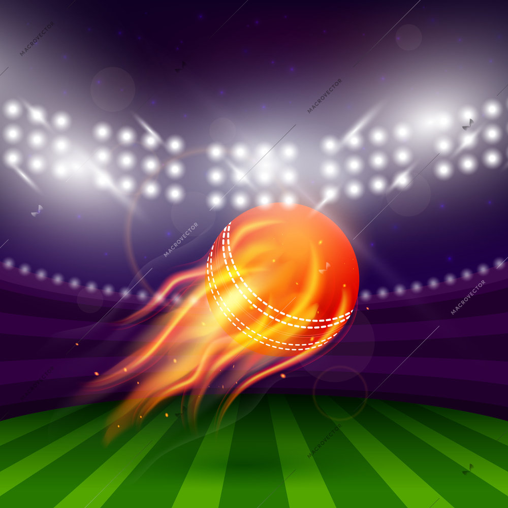 Stadium of cricket at night with flying ball in fire vector illustration