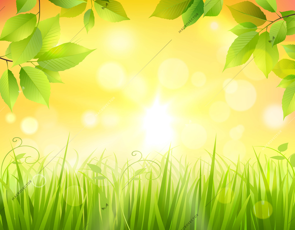 Sunrise in forest background with green tree leaves frame and sun beams in the middle vector illustration