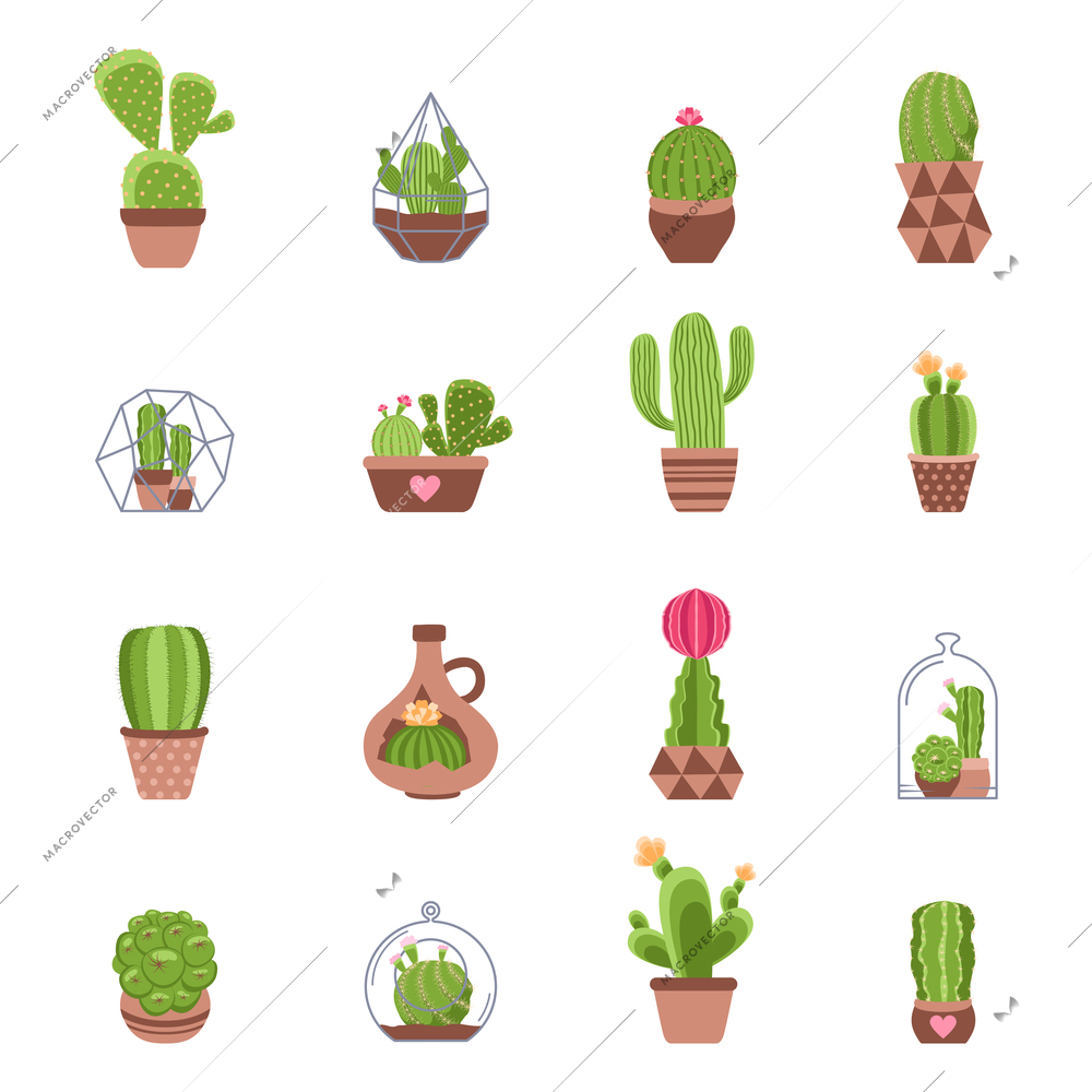 Different types of cactus with flowers icons set isolated vector illustration