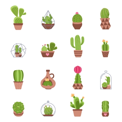 Different types of cactus with flowers icons set isolated vector illustration