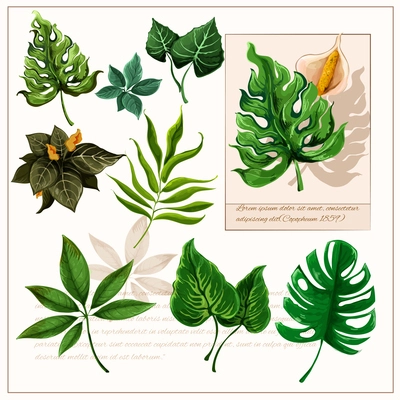 Exotic tropical rainforest plants opulent green leaves pictograms collection with watercolor sketch icon abstract isolated vector illustration