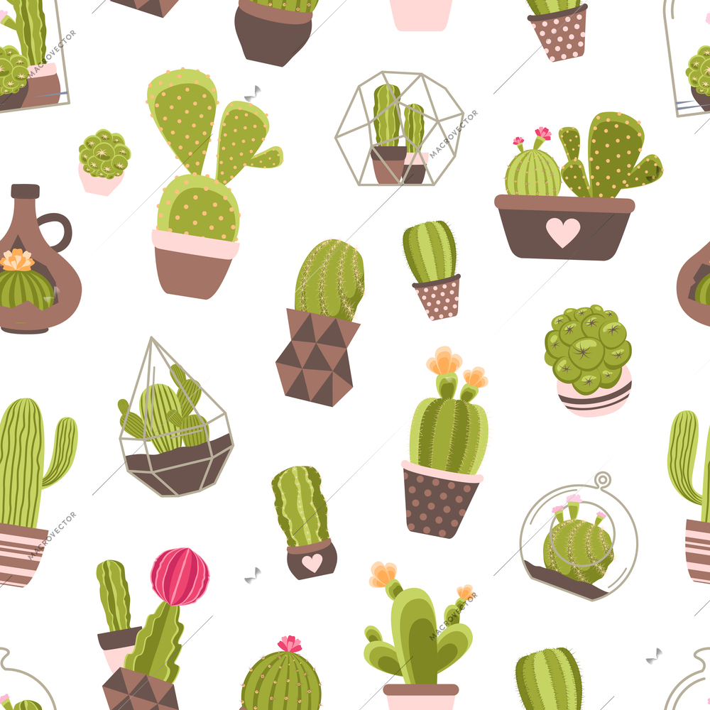 Home and garden cactus plants with flowers seamless pattern vector illustration