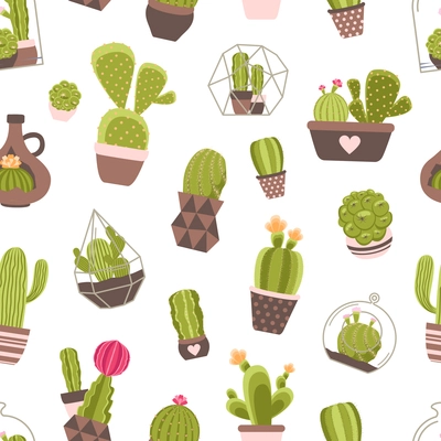 Home and garden cactus plants with flowers seamless pattern vector illustration