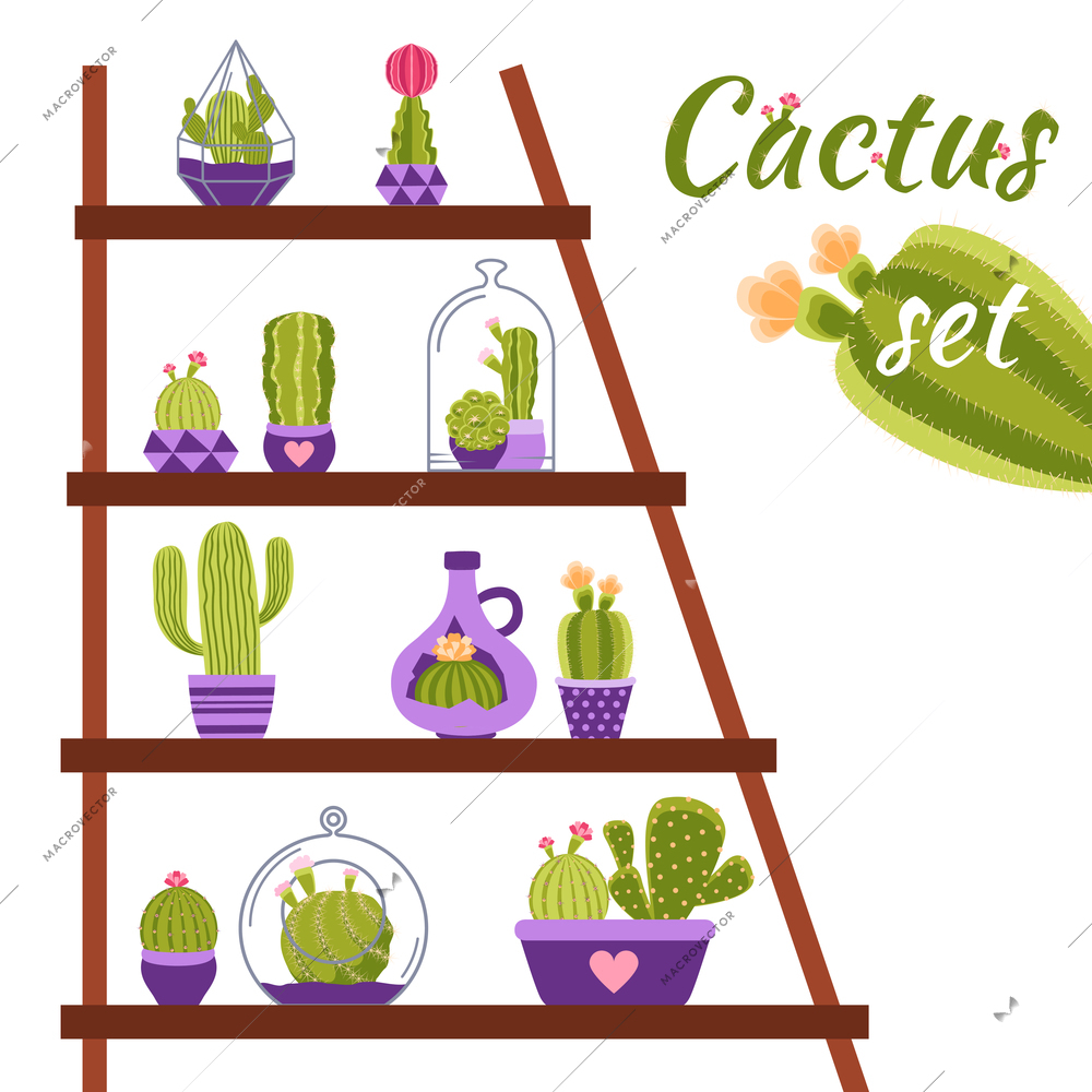 Home cactuses in pots on shelf decorative concept vector illustration