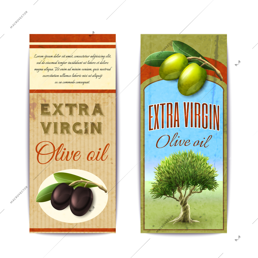 Extra virgin olive oil labels with black and green olives vertical banners set abstract isolated vector illustration