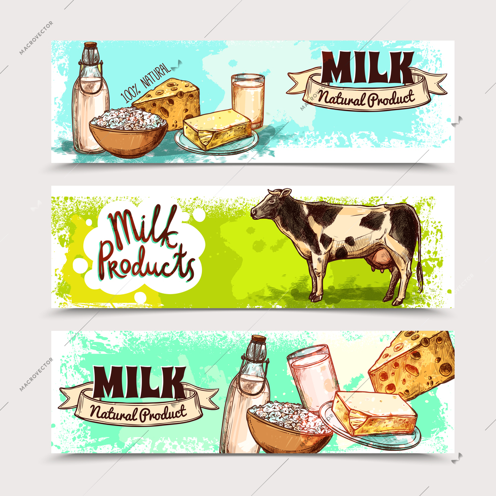 Milk products horizontal banner set with sketch dairy and cow isolated vector illustration