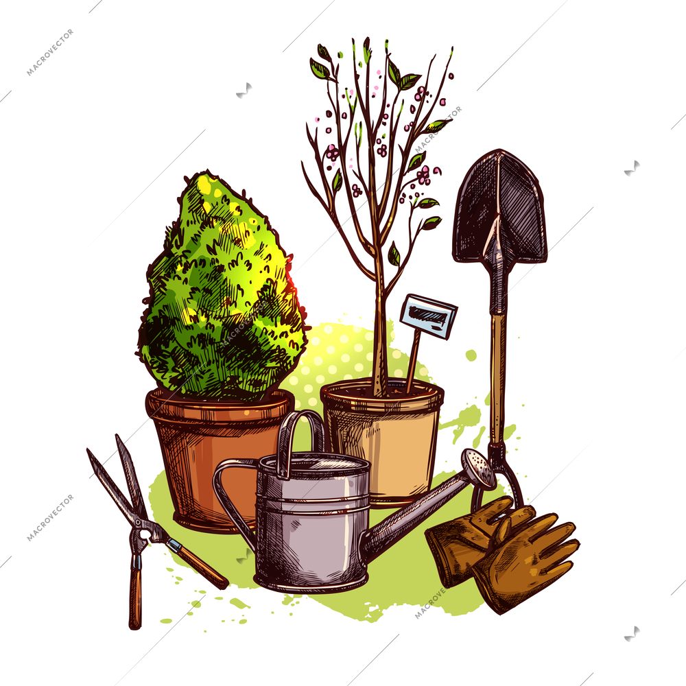 Garden tools set with sketch plants in pots and seedling equipment vector illustration