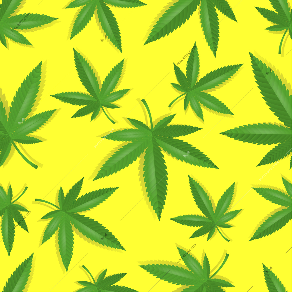 Seamless marijuana cannabis leaves pattern background vector illustration