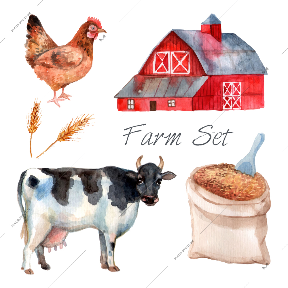Watercolor concept farm set with cow hen and grain isolated vector illustration