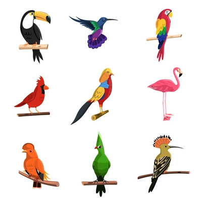 Exotic birds set with toucan parrot and flamingo isolated vector illustration