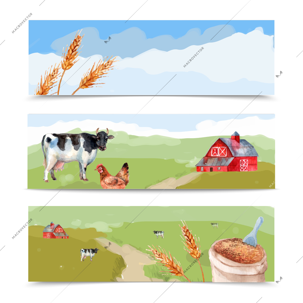 Farm and fields watercolor horizontal banners set with cows wheat and house isolated vector illustration