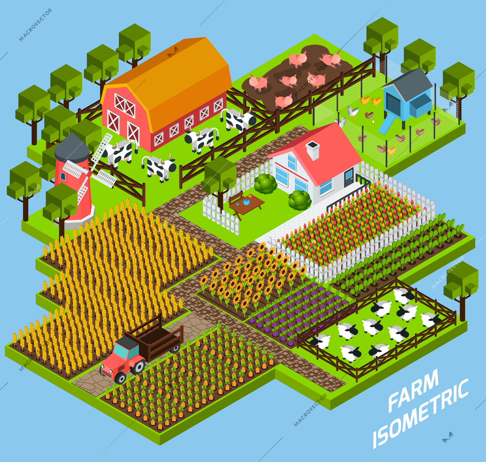 Farm complex constructive toy blocks composition with farmhouse backyard surrounded by fiels and pasture isometric vector illustration
