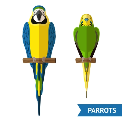 Two front view sitting parrots colorful flat decorative icons set isolated vector illustration