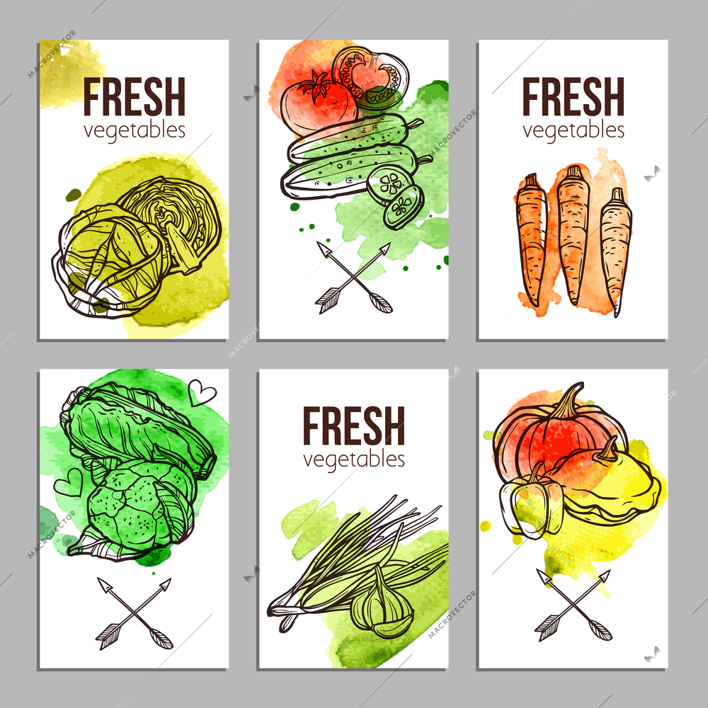 Business cards with fresh hand drawn vegetables set isolated vector illustration