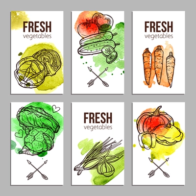 Business cards with fresh hand drawn vegetables set isolated vector illustration