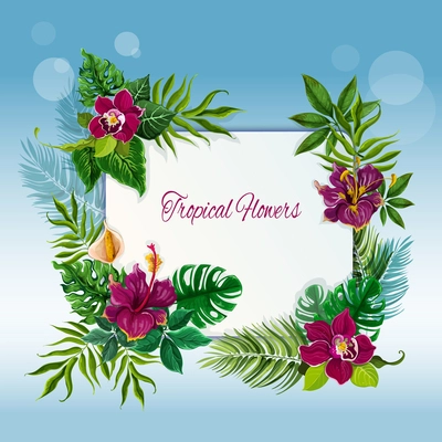 Exotic tropical green leaves frame for message or note with hibiscus and orchid flowers  abstract vector illustration