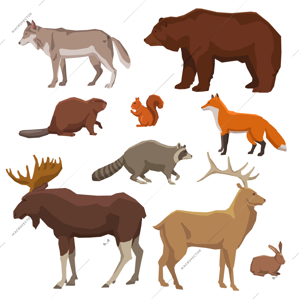 Wild forest animals bear wolf fox elk rabbit and beaver painted color icon set isolated vector illustration