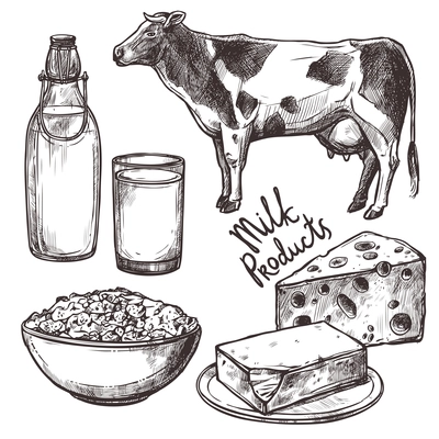 Sketch milk products set with cow and cheese isolated vector illustration