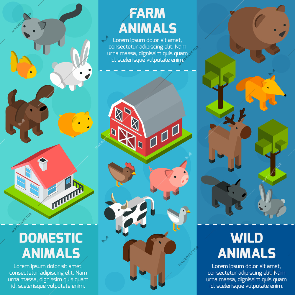 Vertical banner set with isometric wild farm and domestic animals isolated vector illustration