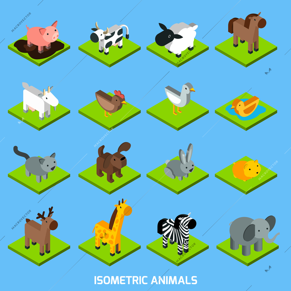 Isometric animals set with 3d hamster pig sheep and rabbit isometric vector illustration