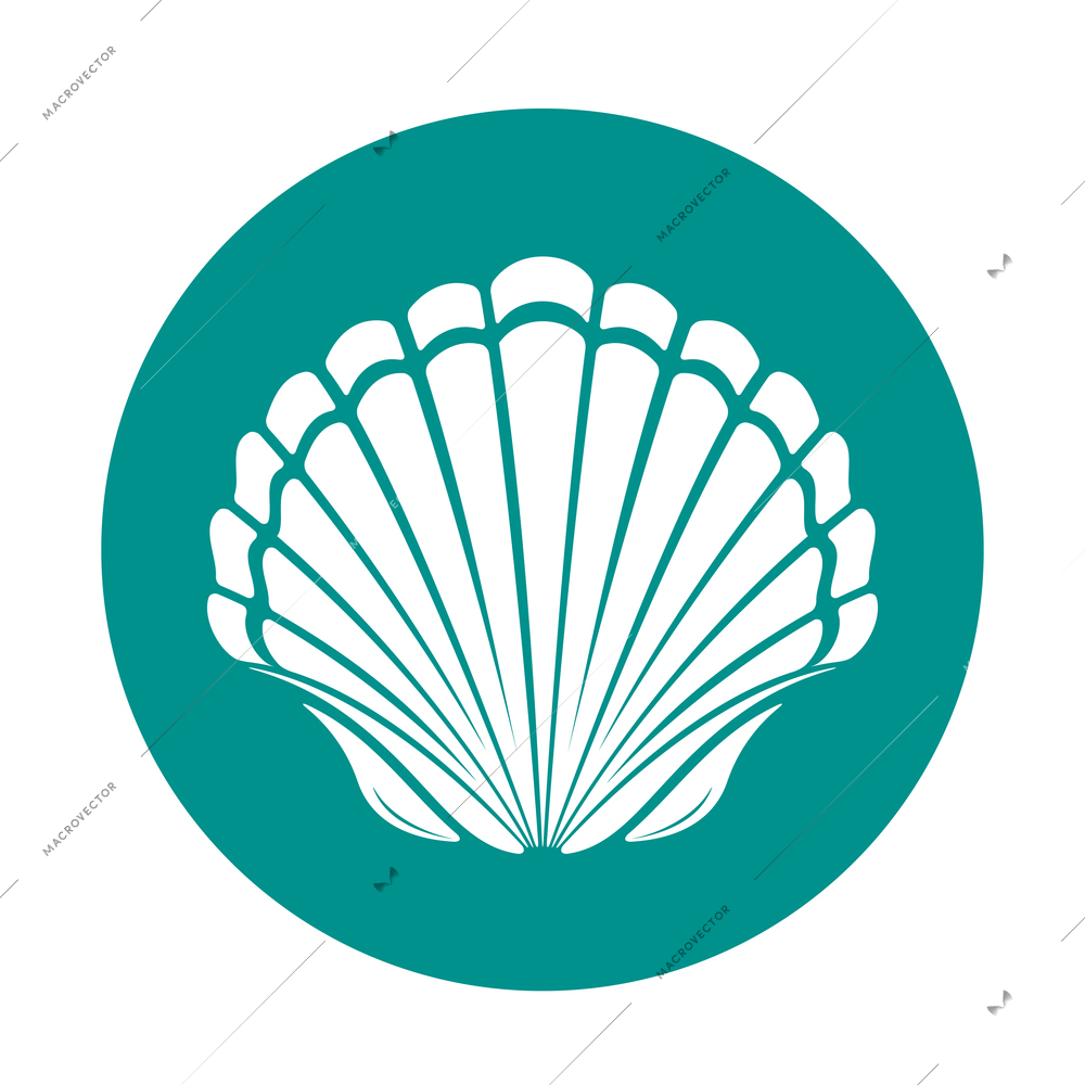 Scallop sea shell icon or symbol vector illustration