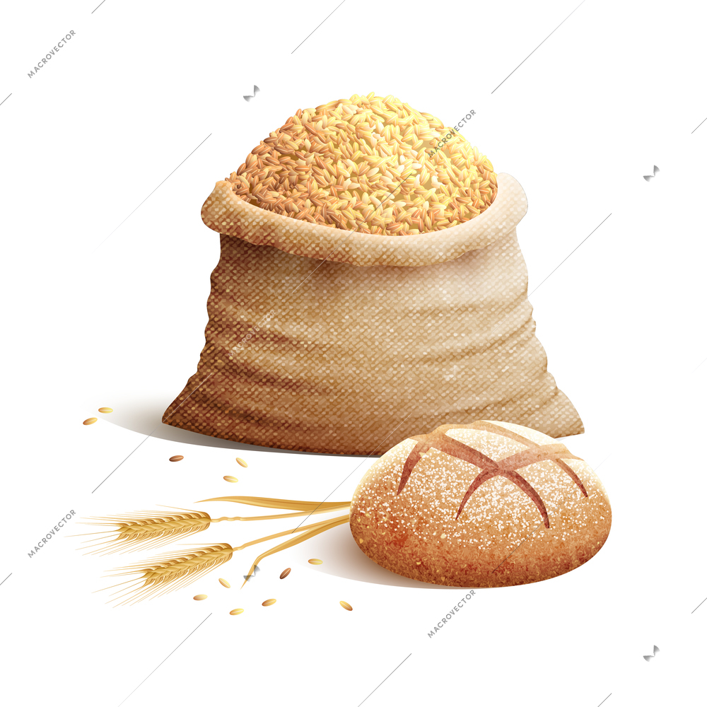 Bread wheat spikes and bag of grains or cereal with shadows 3d color concept vector illustration