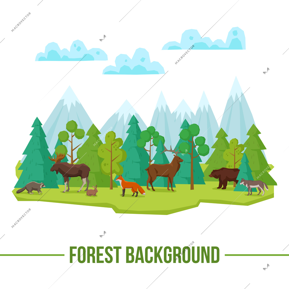 Forest landscape poster with wild animals and mountains on background vector illustration