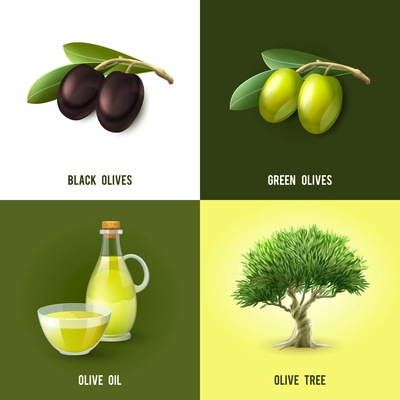 Olive design concept set with black and green olives oil and tree icons isolated vector illustration