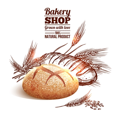 Bakery concept with sketch bread and hand drawn wheat on background vector illustration