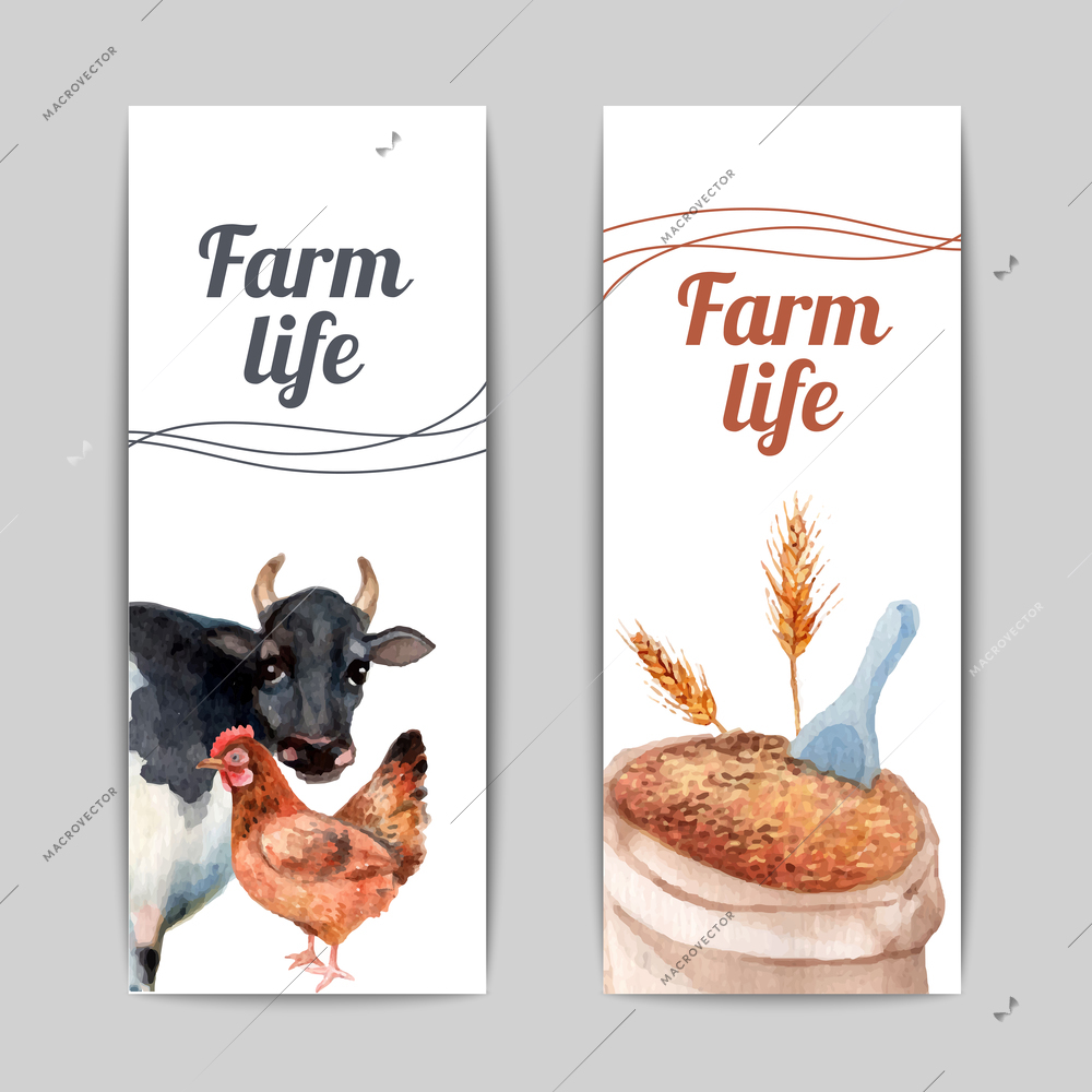 Domestic animals breeding and crops harvesting farming production 2 vertical flat banners set abstract isolated vector illustration