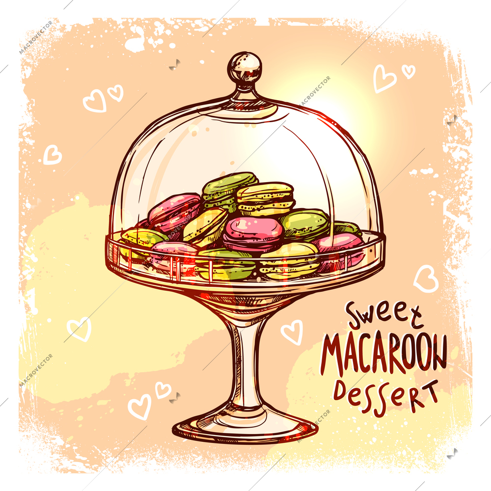 Multicolored macaroon cookies in glass candy jar sketch vector illustration