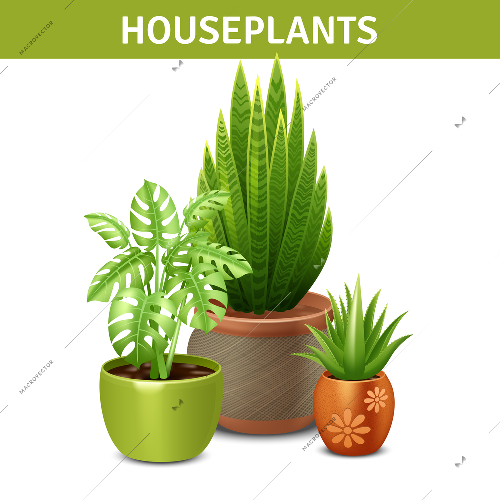 Realistic houseplants composition with green plants pots and ground vector illustration