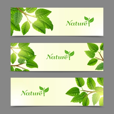 Trees branches with green leaves earth friendly organic natural products horizontal banners collection abstract isolated vector illustration